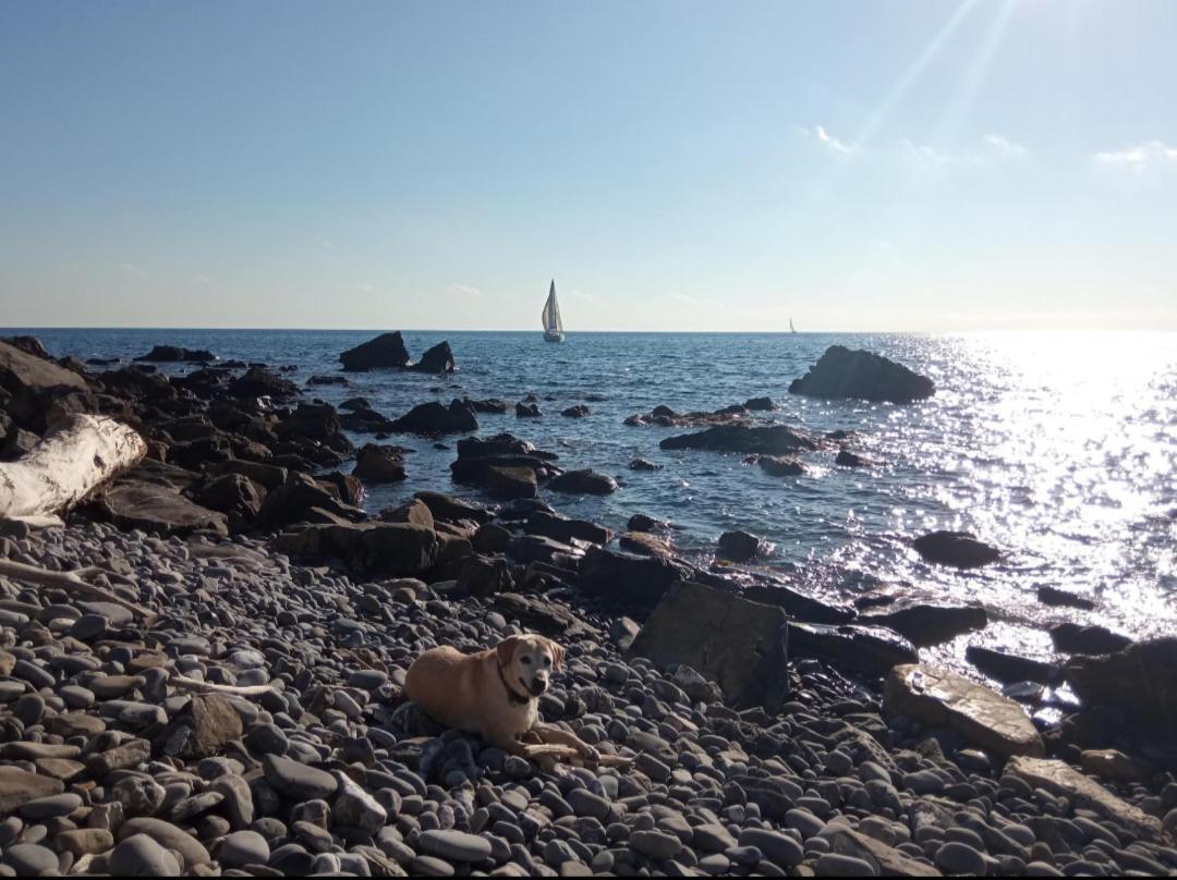 Cluxury-Torre Dei Saraceni Boutique Apt By The Sea Beach, Pool,Private Jacuzzi, Parking Cervo Exterior photo